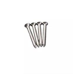Set of 4 Screws for Ness Stainless Steel Base Plate
