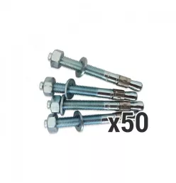 Pack of 50 Anchors 12/100