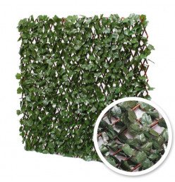 Treillis Extensible Feuilles de Lierre brise-vue