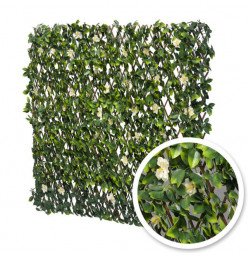 Treillis Extensible Jasmin brise-vue